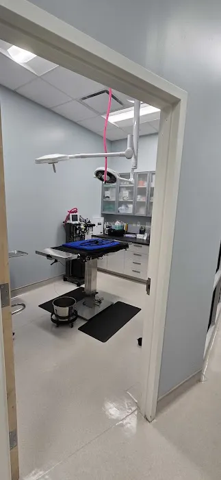 Dirigo Veterinary Care Picture 5