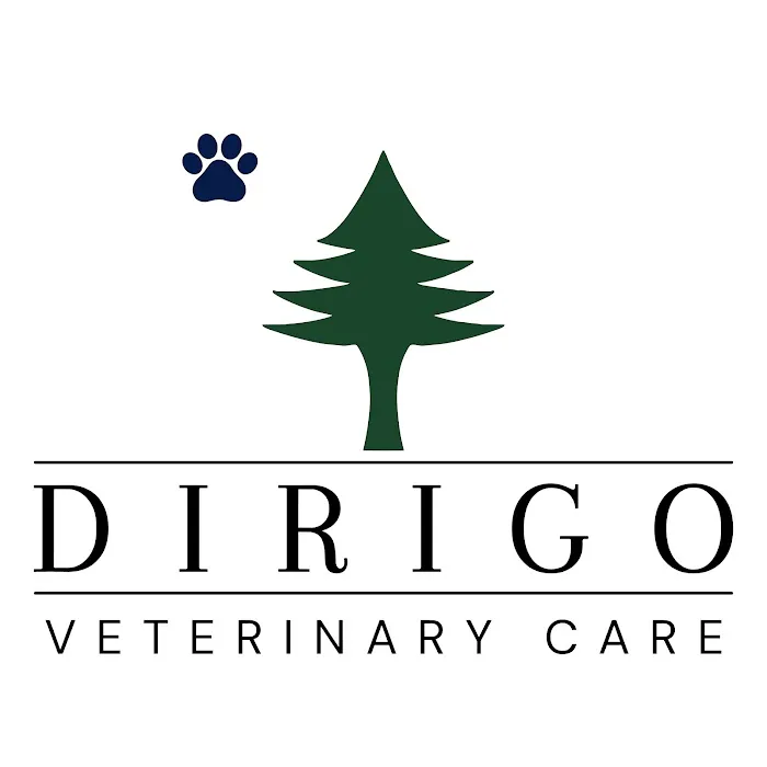Dirigo Veterinary Care Picture 7