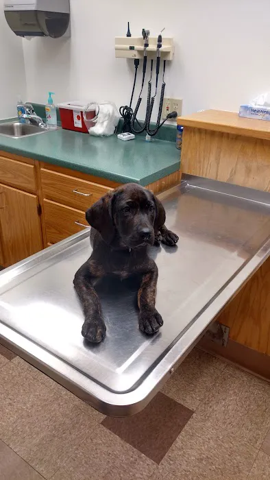 Animal Hospital of Waterville Picture 1