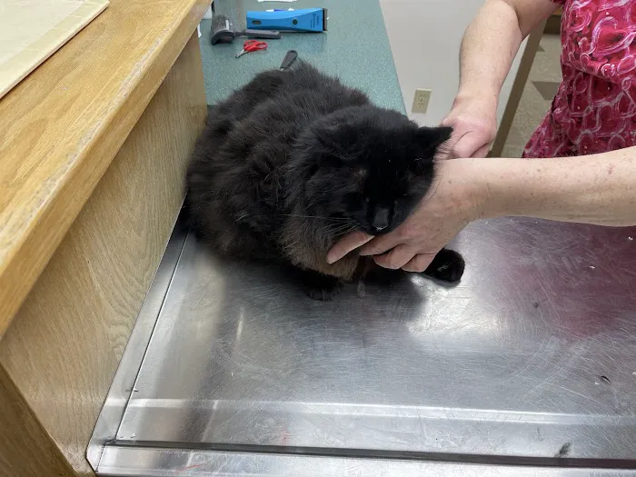 Animal Hospital of Waterville Picture 6