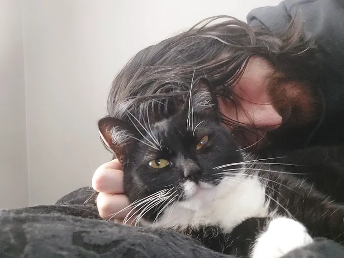 Animal Hospital of Waterville Picture 5