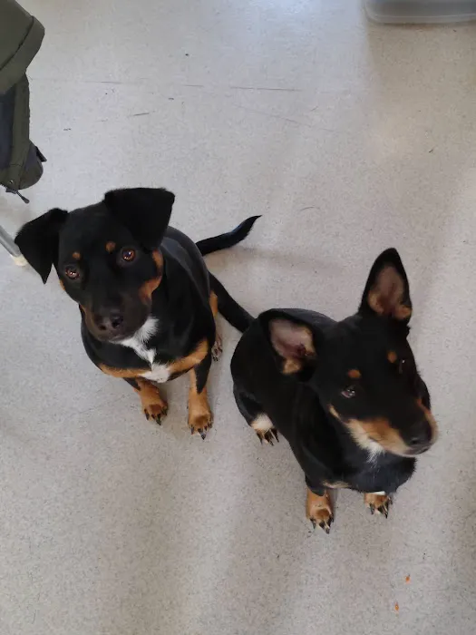 Animal Hospital of Waterville Picture 2