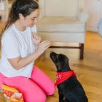 Tips for Teaching Puppies Basic Commands at Home