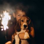 How to Calm Anxious Pets During Fireworks: Expert Tips for Pet Owners