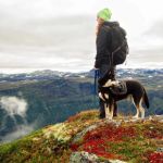 Safe Hiking Tips for Dogs and Their Owners - Enjoy Outdoor Adventures Together