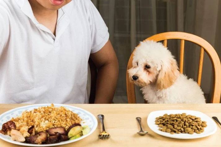 Human Foods That Are Surprisingly Safe for Dogs