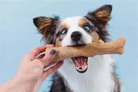 The Ultimate Guide to Safe Dog Toys for Chewers: Durable & Non-Toxic Options