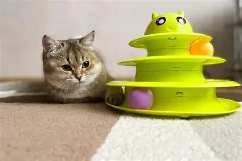 Benefits of Interactive Feeders for Mental Stimulation: Enhance Your Pet’s Cognitive Health