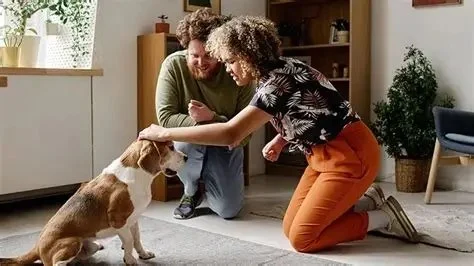 How to Introduce Your Dog to Other Pets Safely