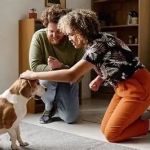 How to Introduce Your Dog to Other Pets Safely