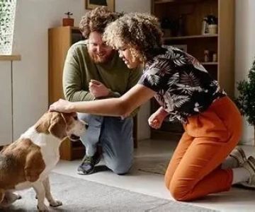 How to Introduce Your Dog to Other Pets Safely