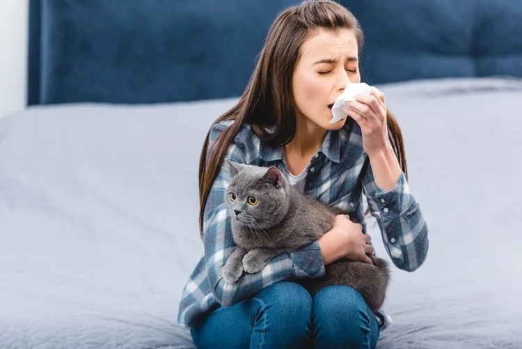 How to Prevent and Treat Allergies in Pets