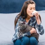 How to Prevent and Treat Allergies in Pets