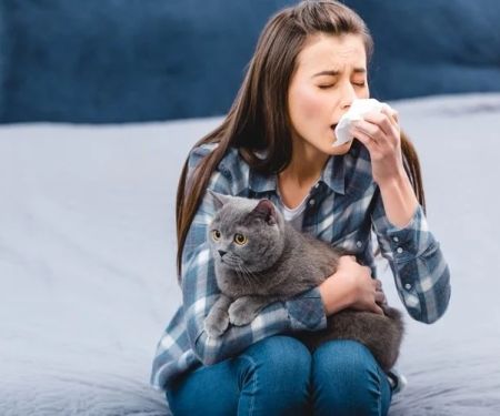 How to Prevent and Treat Allergies in Pets