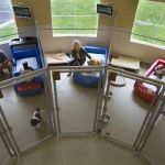 How to Choose the Right Pet Boarding Facility for Your Pet's Comfort and Safety