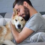 How to Help Your Pet Cope with the Loss of a Loved One | Brothers Pets