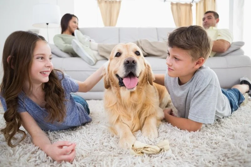 Best Dog Breeds for Active Families With Kids