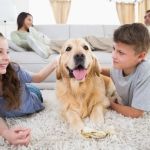 Best Dog Breeds for Active Families With Kids