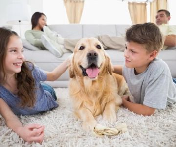 Best Dog Breeds for Active Families With Kids