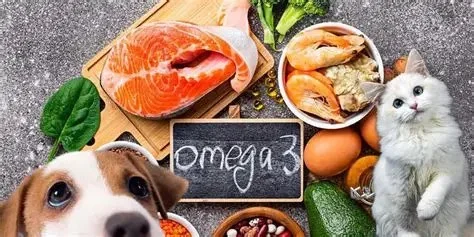 Understanding the Importance of Omega in Pet Diets