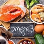 Understanding the Importance of Omega in Pet Diets