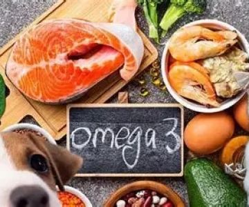 Understanding the Importance of Omega in Pet Diets