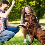 How to Train Your Dog to Be Comfortable Around Strangers