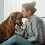 How to Care for Pets with Chronic Health Conditions