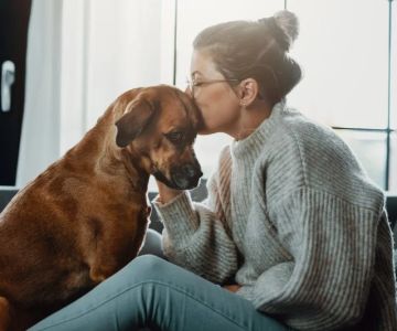 How to Care for Pets with Chronic Health Conditions
