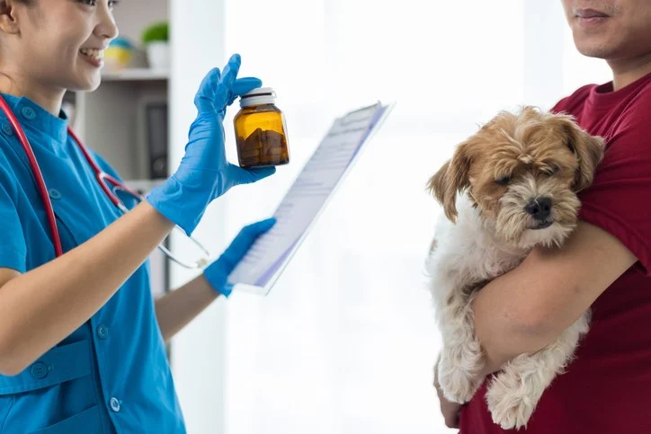 How to Recognize and Treat Common Pet Diseases: A Complete Guide