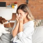 Understanding Pet Allergies: Symptoms and Treatment Options | Brothers Pets