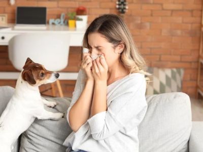 Understanding Pet Allergies: Symptoms and Treatment Options | Brothers Pets
