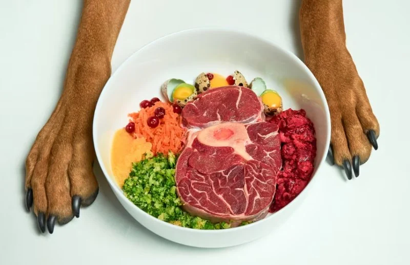 Raw Food Diets for Pets: Pros, Cons, and Veterinary Opinions