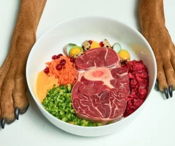 Raw Food Diets for Pets: Pros, Cons, and Veterinary Opinions