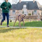 The Importance of Regular Exercise for Your Pet – Healthy Habits with Brothers Pets
