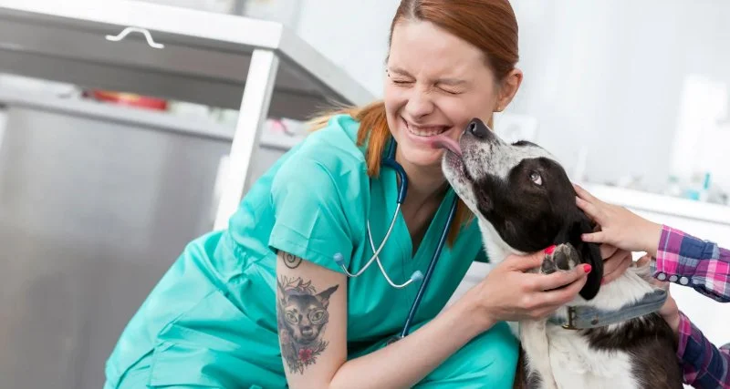 How to Make Your Pet's Vet Visit Less Stressful