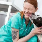 How to Make Your Pet's Vet Visit Less Stressful