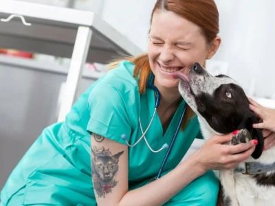 How to Make Your Pet's Vet Visit Less Stressful