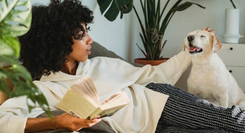 How to Improve Your Pet’s Mental Health with Daily Enrichment