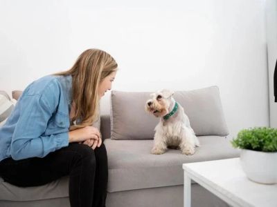 How to Help Your Pet Cope with Anxiety During Vet Visits: Tips for Stress-Free Trips