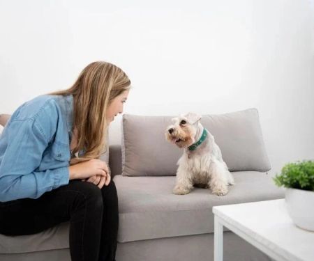 How to Help Your Pet Cope with Anxiety During Vet Visits: Tips for Stress-Free Trips