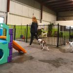 How to Choose the Right Pet Boarding Facility | Brothers Pets