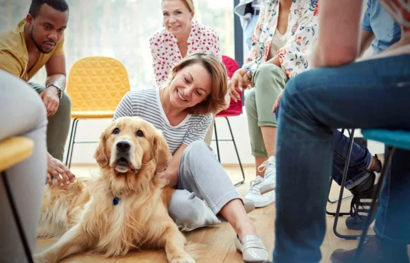 How to Train Your Pet for Positive Socialization: Tips and Techniques