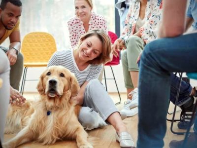 How to Train Your Pet for Positive Socialization: Tips and Techniques