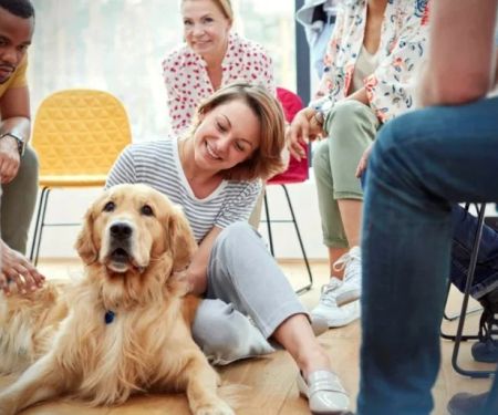 How to Train Your Pet for Positive Socialization: Tips and Techniques