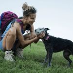 How to Safely Train Your Pet for Travel and Outdoor Adventures | Expert Tips