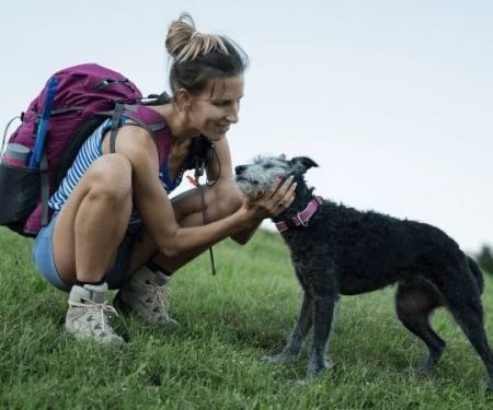 How to Safely Train Your Pet for Travel and Outdoor Adventures | Expert Tips