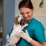 How to Choose the Right Veterinarian for Your Pet's Health Needs