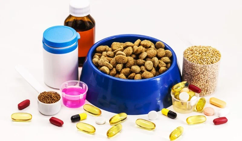 The Role of Supplements in Your Pet's Health