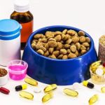 The Role of Supplements in Your Pet's Health